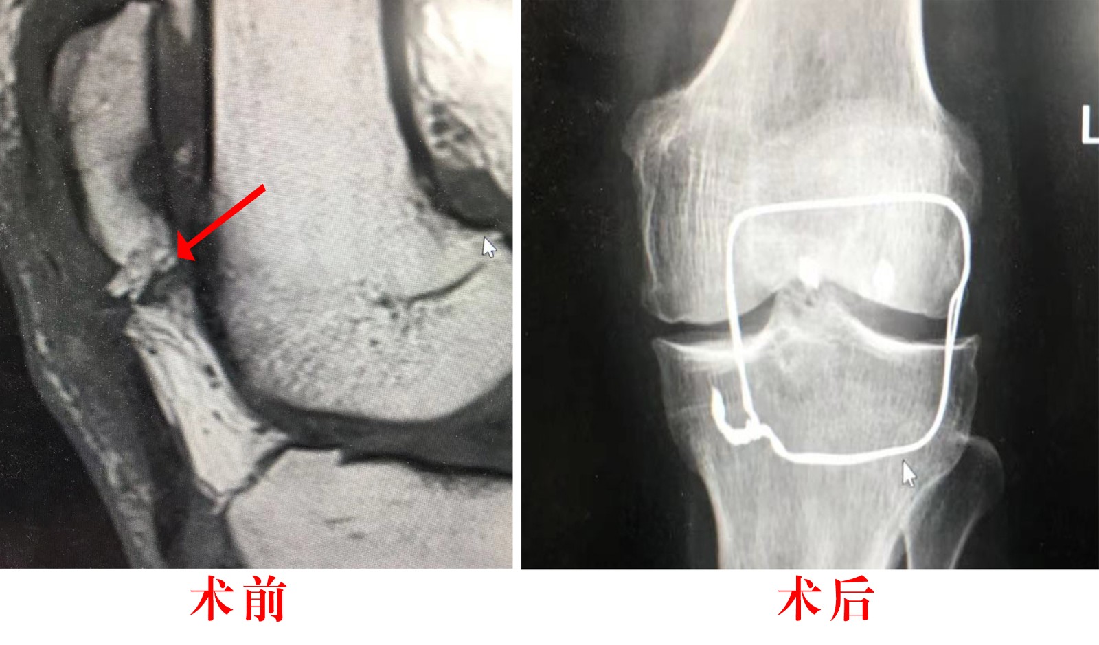 图片3.1.jpg