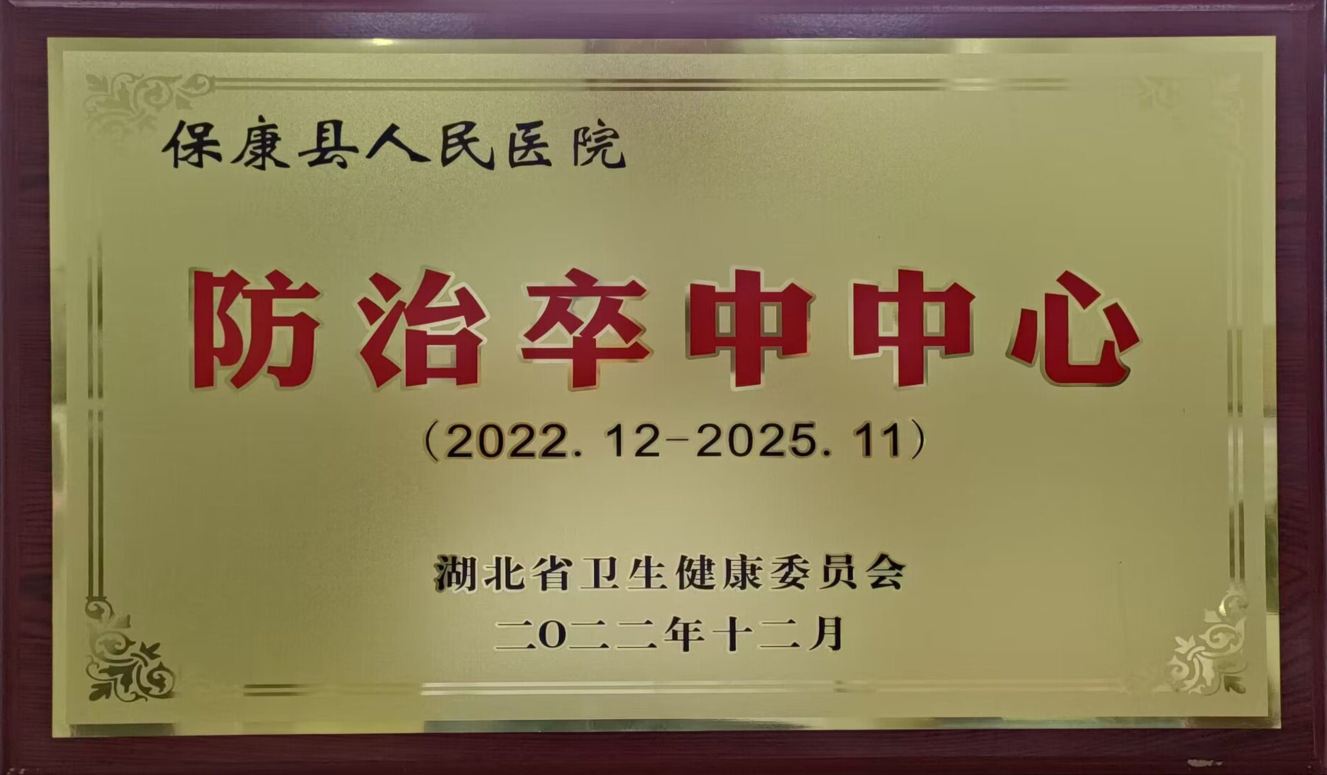 县人民医院“防治卒中中心”顺利通过省级复审